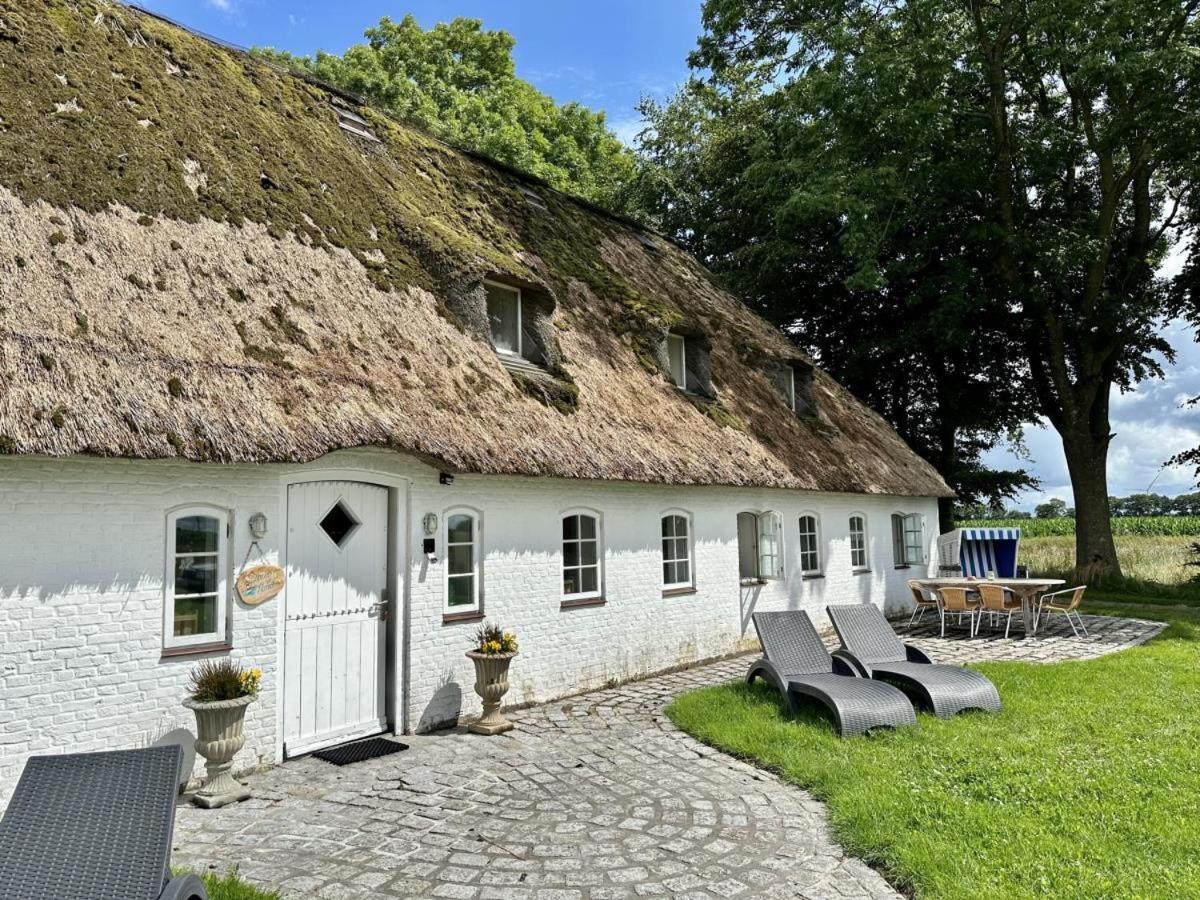 Ehemaliges Rio Reiser Haus Stadum ภายนอก รูปภาพ